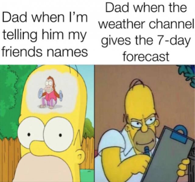 Memes For Dads (14 pics)