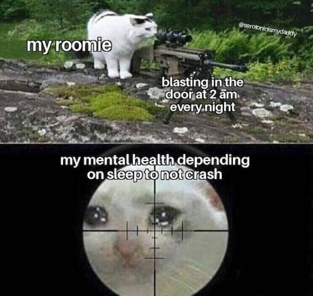 Memes About Mental Health (24 pics)