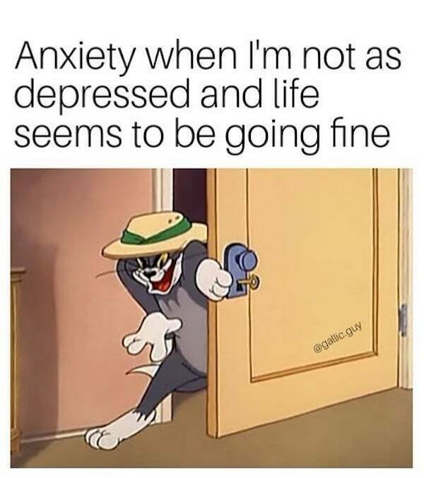 Memes About Mental Health (24 pics)
