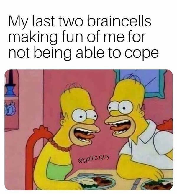 Memes About Mental Health (24 pics)