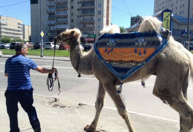 Strange Photos From Russia (40 pics)