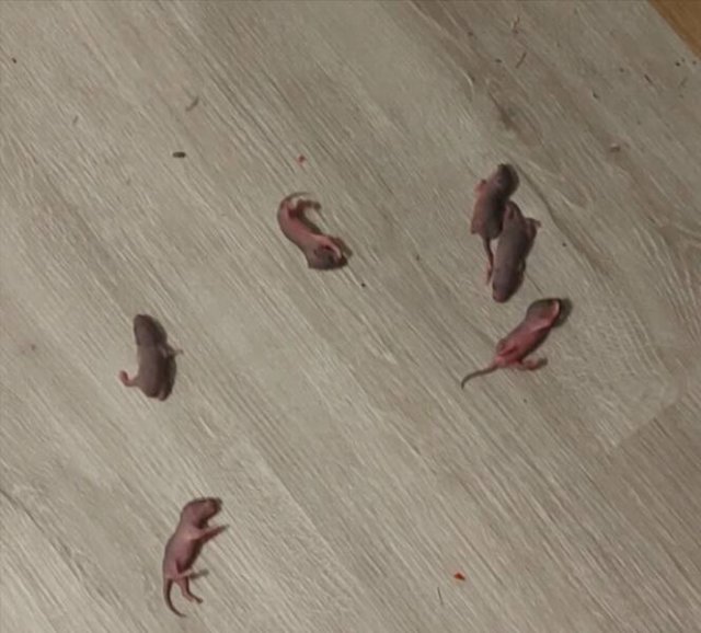 Bad Days Happen (28 pics) Bad Days Happen (28 pics)