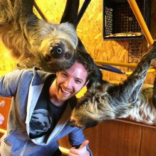 Funny Animals (53 pics)