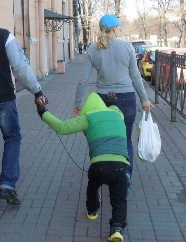 Funny Animals (53 pics)