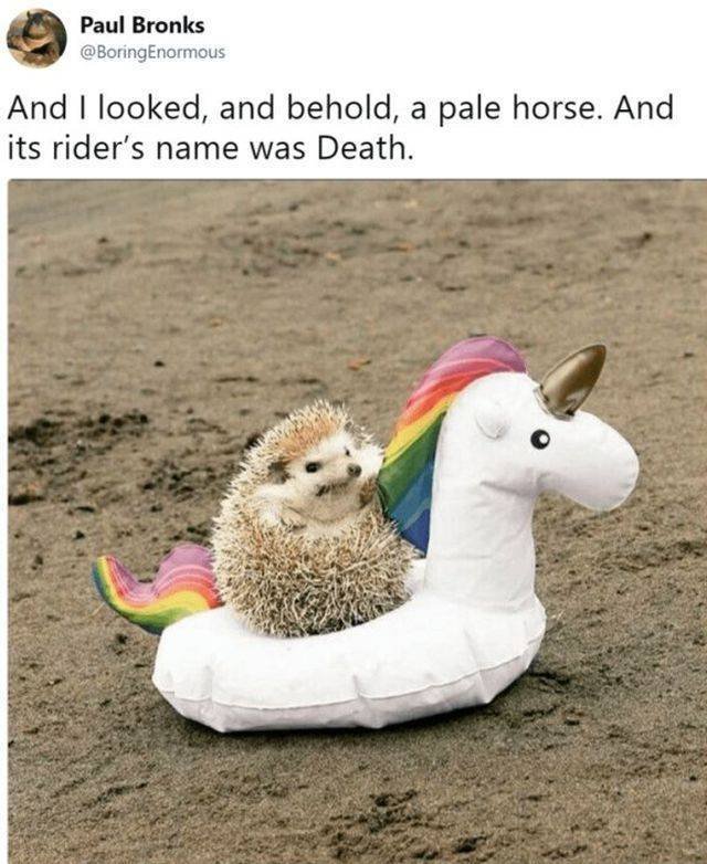Funny Animals (53 pics)