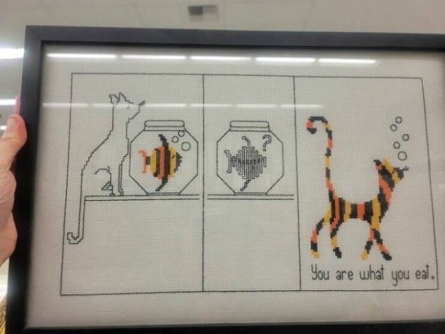Unusual Finds In Thrift Shops (39 pics)