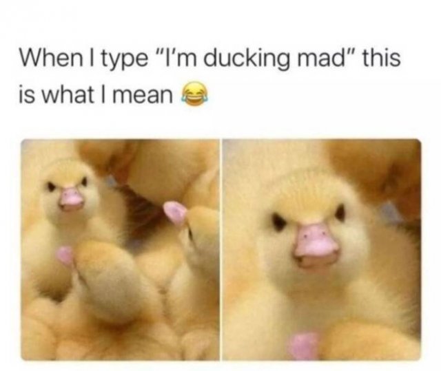Funny Memes (24 pics)