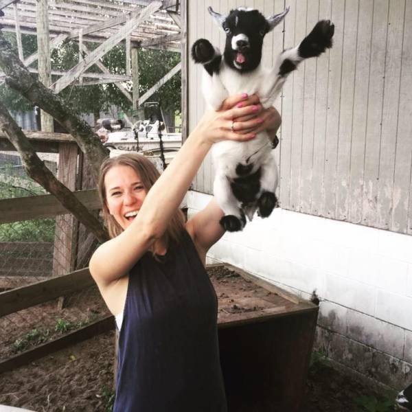 Funny Animals (46 pics)