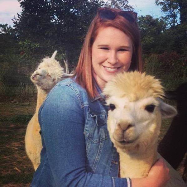 Funny Animals (46 pics)
