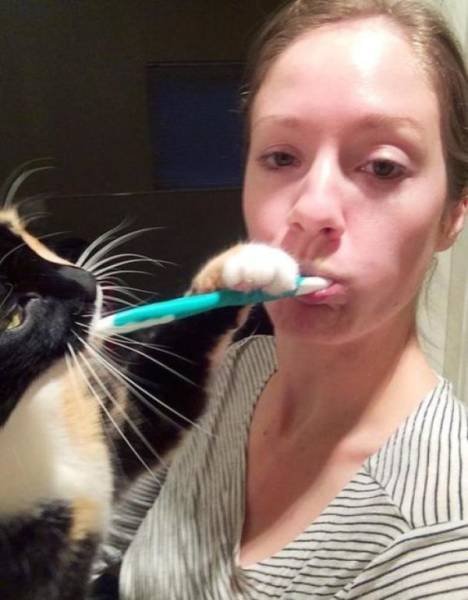 Funny Animals (46 pics)
