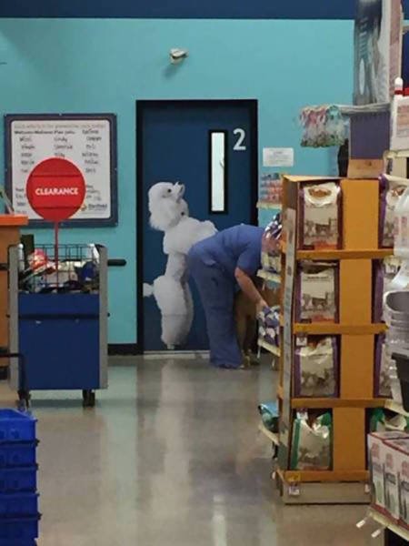 Bad Days Happen (40 pics)