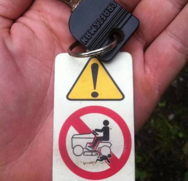 Captain Obvious (36 pics)