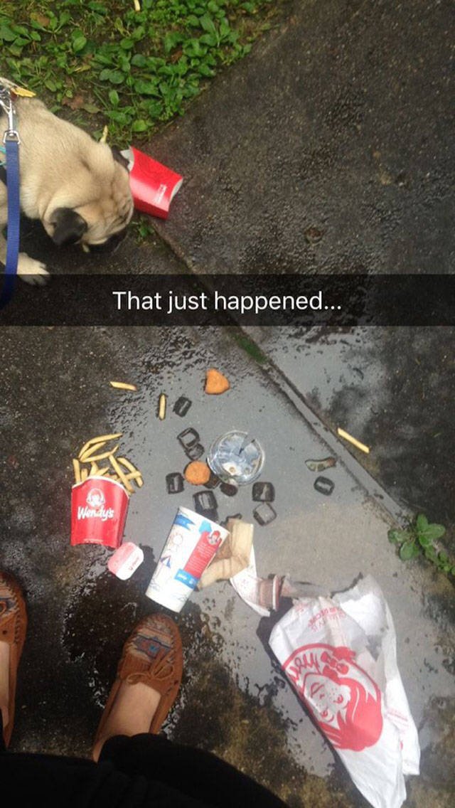 Bad Days Happen (40 pics)
