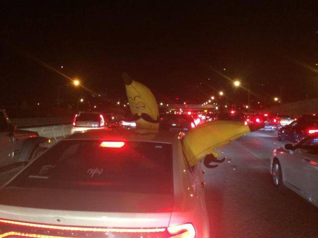 Weird Situations On The Road (42 pics)