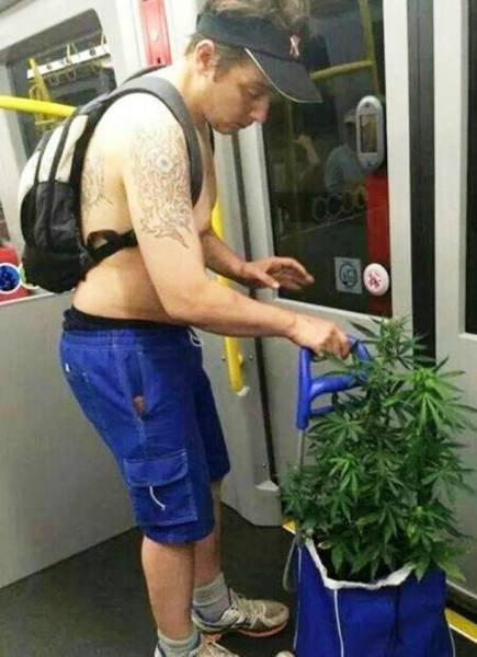 Odd People In The NYC Subway (25 pics)
