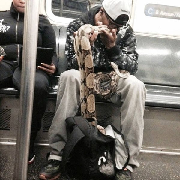 Odd People In The NYC Subway (25 pics)