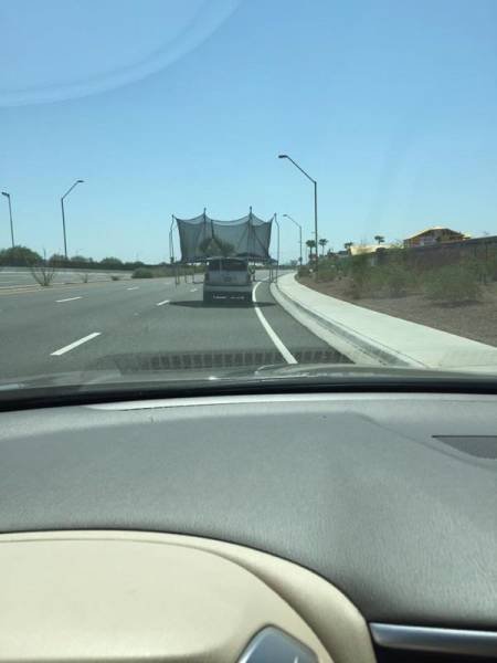 Weird Situations On The Road (42 pics)