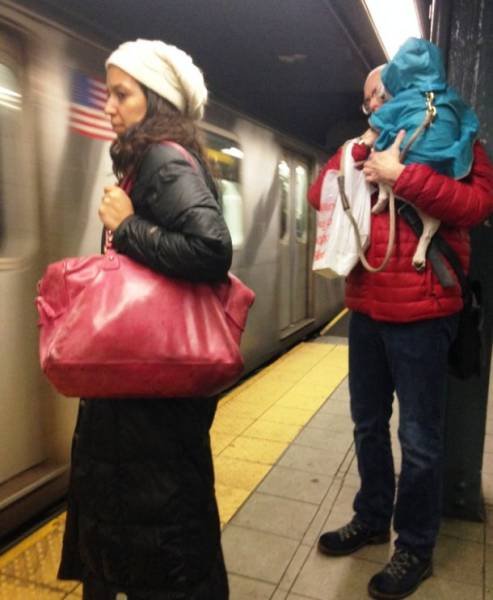 Odd People In The NYC Subway (25 pics)