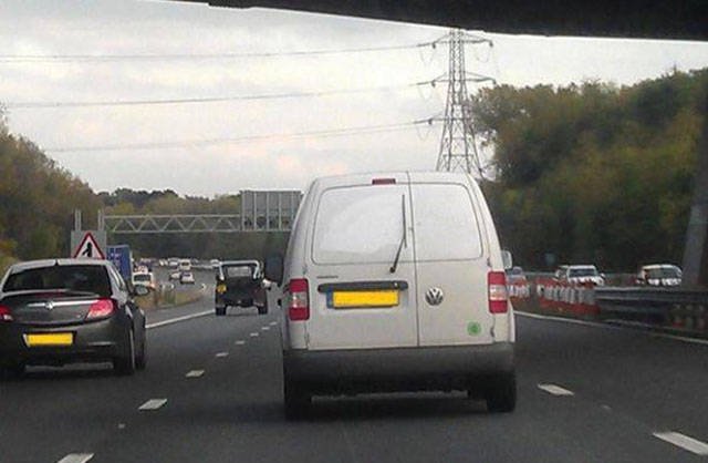 What Is Going On Here? (50 pics)