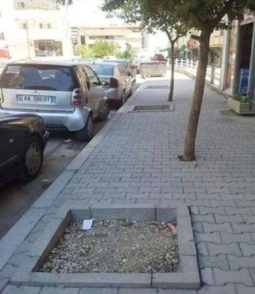 What Is Going On Here? (50 pics)