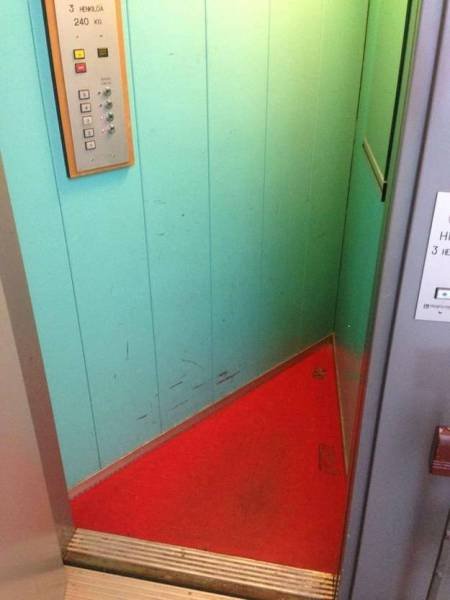 What Is Going On Here? (50 pics)