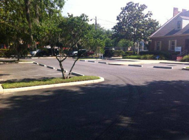 What Is Going On Here? (50 pics)