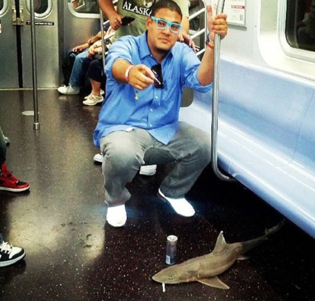 Odd People In The NYC Subway (25 pics)