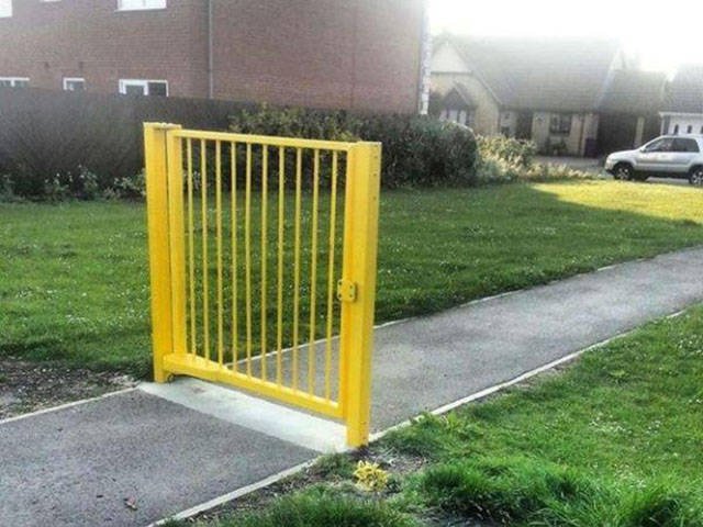 What Is Going On Here? (50 pics)