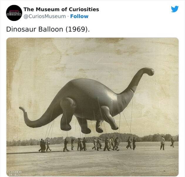 Interesting Historical Facts And Finds (20 pics)
