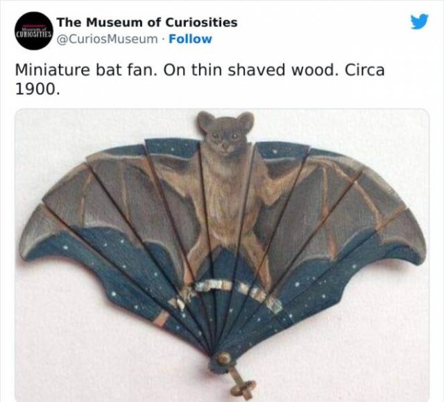 Interesting Historical Facts And Finds (20 pics)