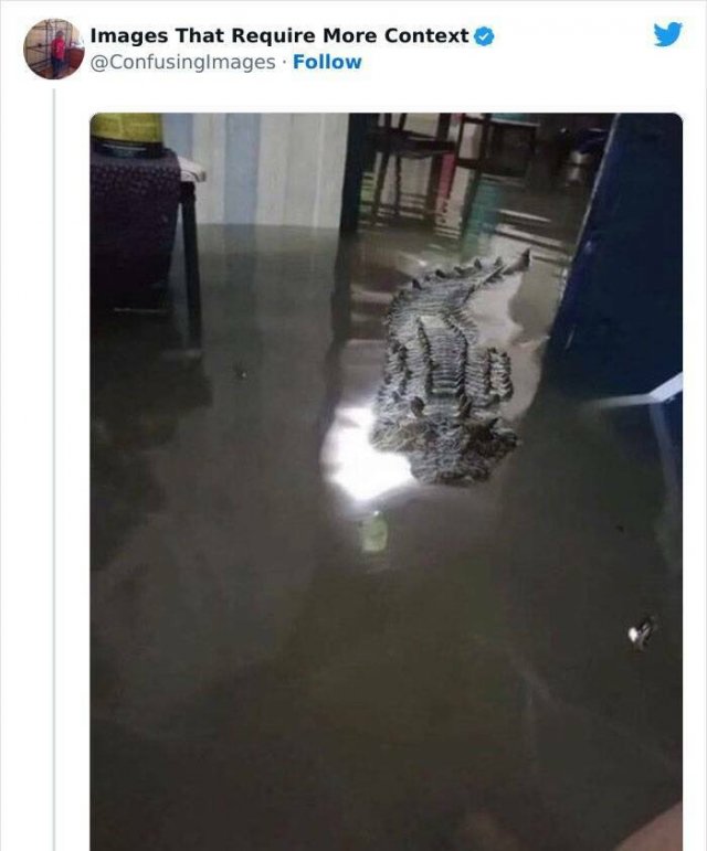 Funny Situations Without Context (19 pics)