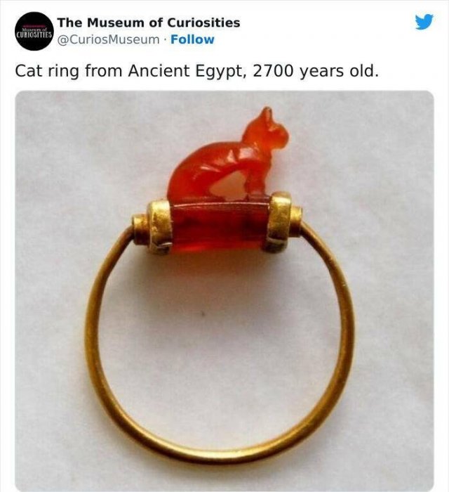 Interesting Historical Facts And Finds (20 pics)