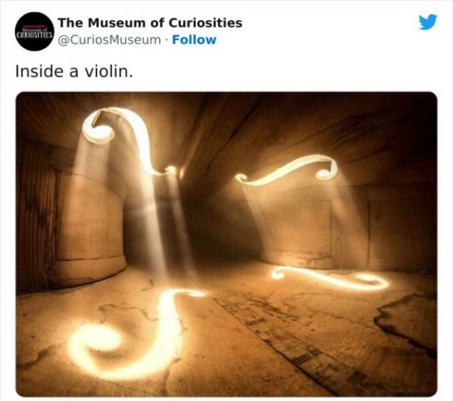 Interesting Historical Facts And Finds (20 pics)