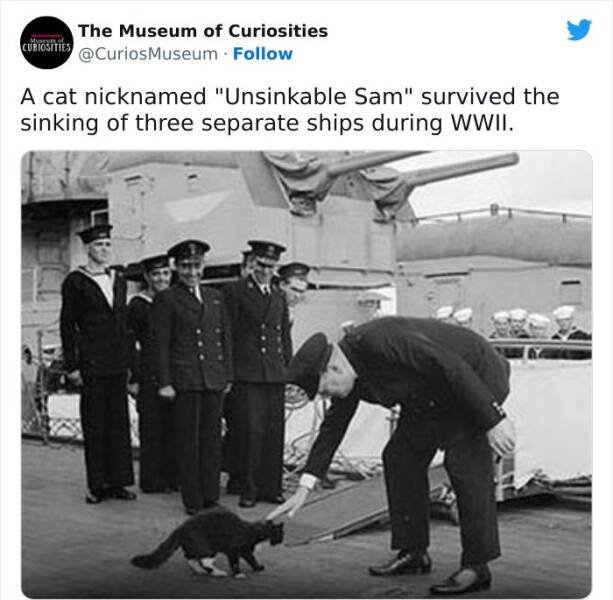Interesting Historical Facts And Finds (20 pics)