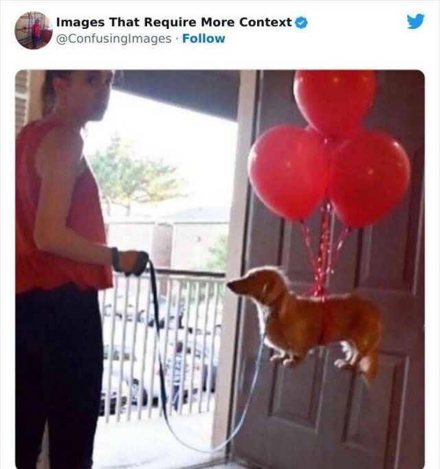 Funny Situations Without Context (19 pics)