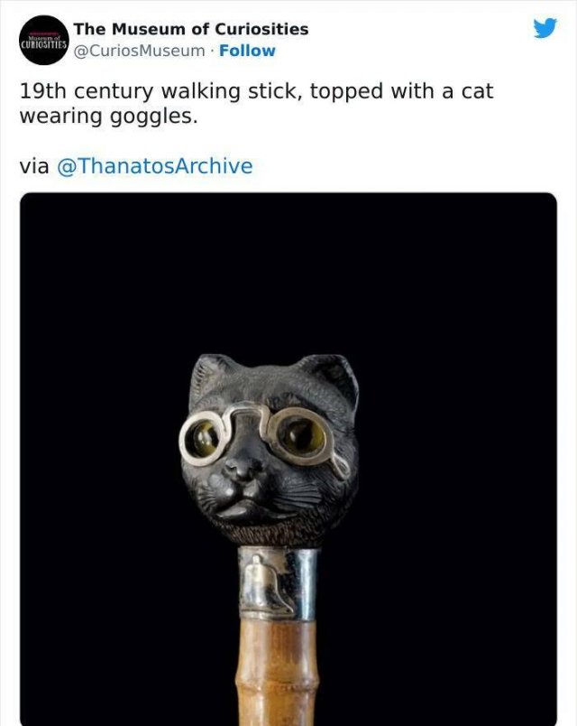 Interesting Historical Facts And Finds (20 pics)