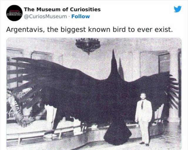 Interesting Historical Facts And Finds (20 pics)