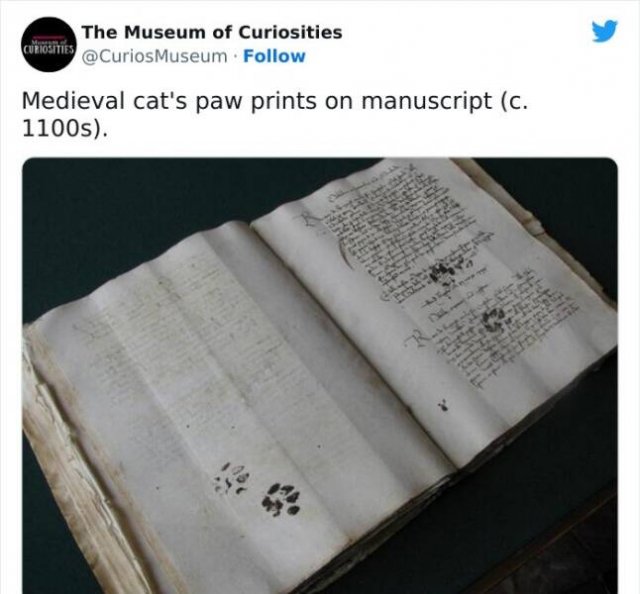 Interesting Historical Facts And Finds (20 pics)
