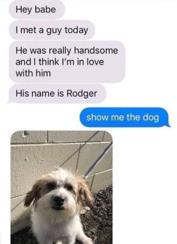 Adorable Dogs (27 pics)