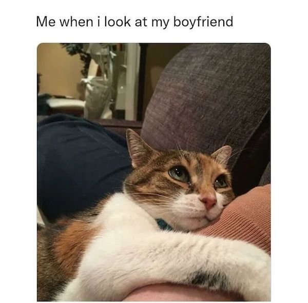 Memes About Relationships (26 pics)