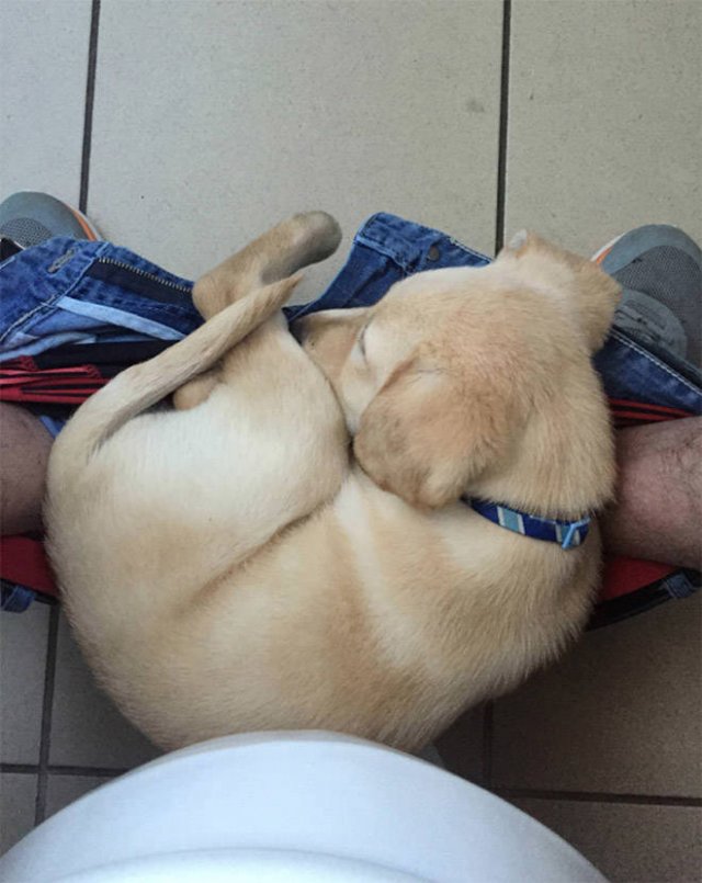 They Don't Know About Social Distancing (21 pics)