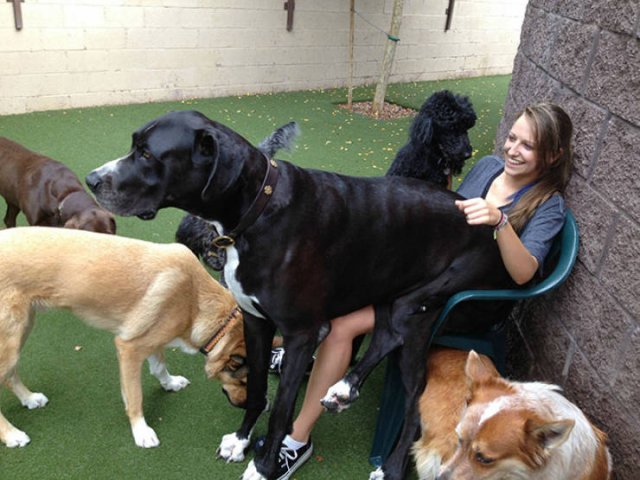 They Don't Know About Social Distancing (21 pics)