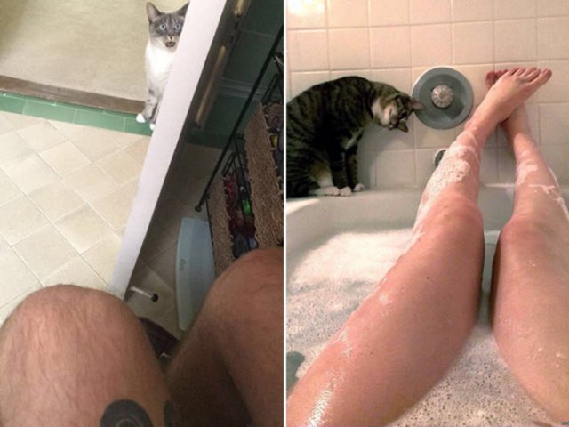 They Don't Know About Social Distancing (21 pics)
