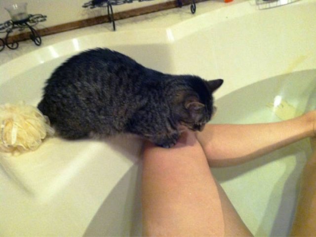 They Don't Know About Social Distancing (21 pics)
