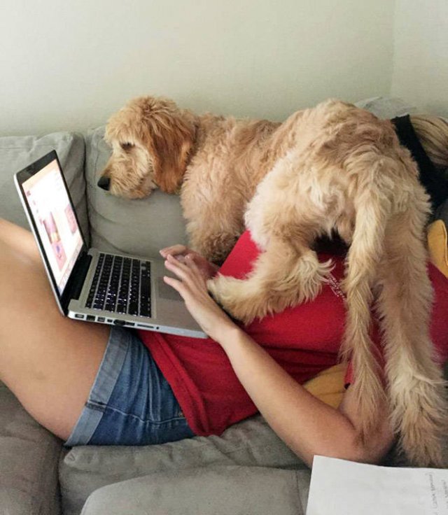 They Don't Know About Social Distancing (21 pics)