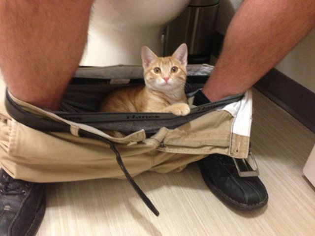 They Don't Know About Social Distancing (21 pics)