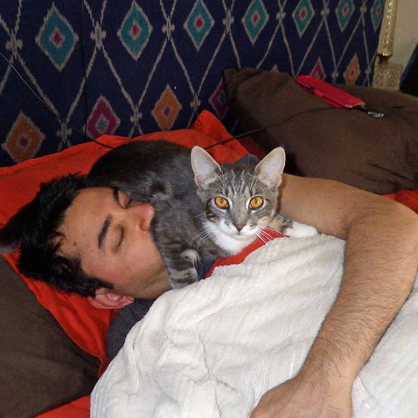 They Don't Know About Social Distancing (21 pics)