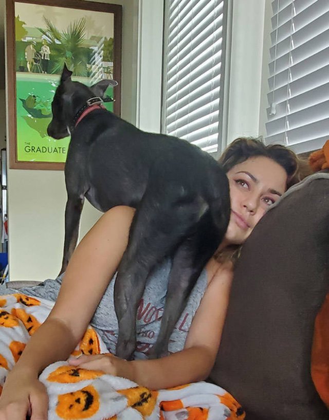 They Don't Know About Social Distancing (21 pics)