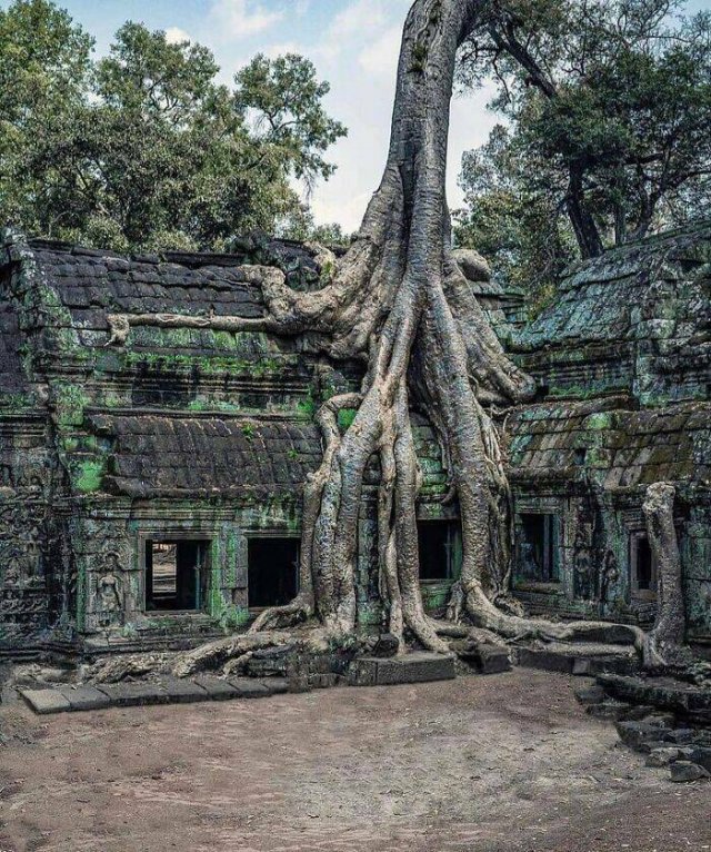 Beautiful Abandoned Places (25 pics)