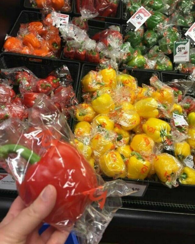 Terrible Overpacking (20 pics)